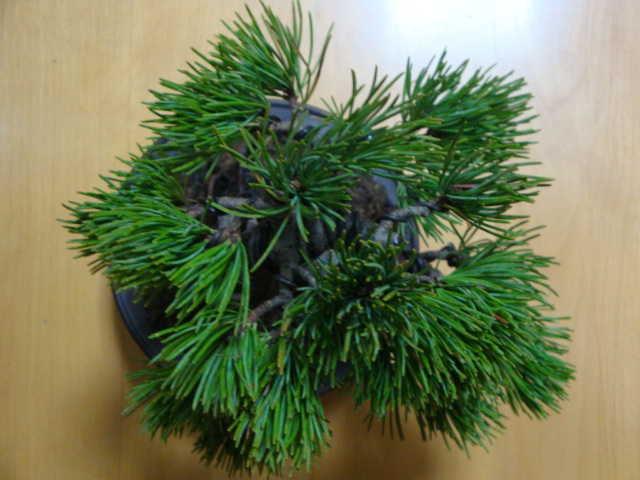 DSC08025.JPG