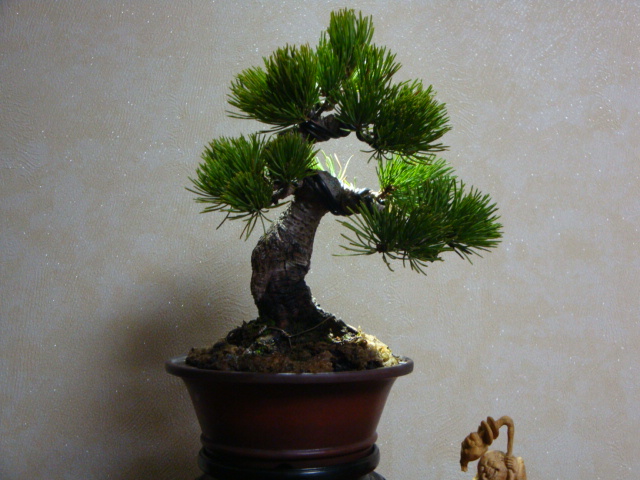 DSC08020.JPG