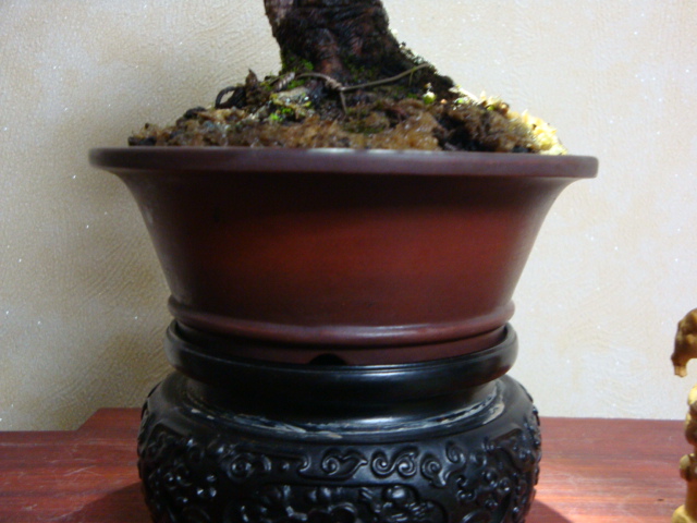 DSC08023.JPG