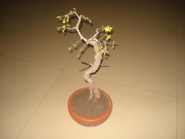 DSC00032.JPG