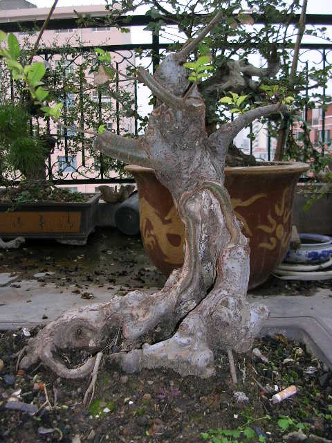 2005.JPG