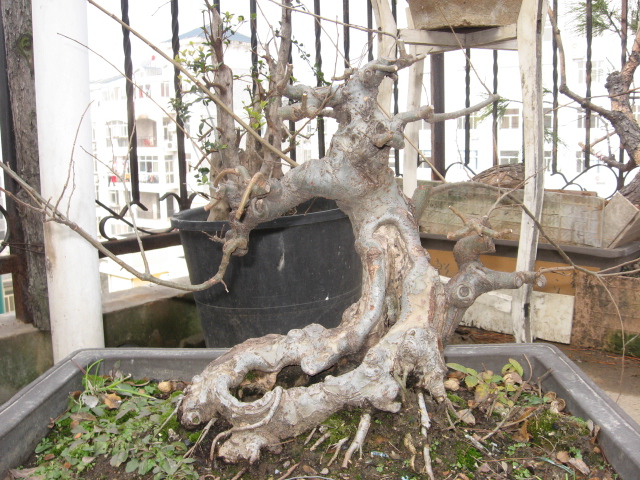 200911 006.jpg
