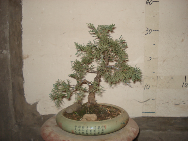 DSC00007.JPG