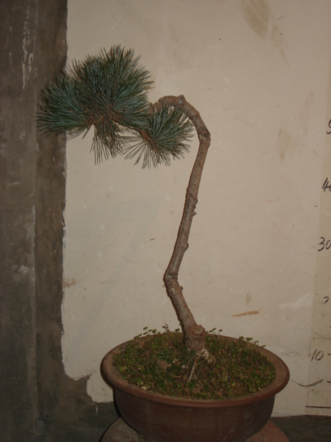 DSC00025.JPG