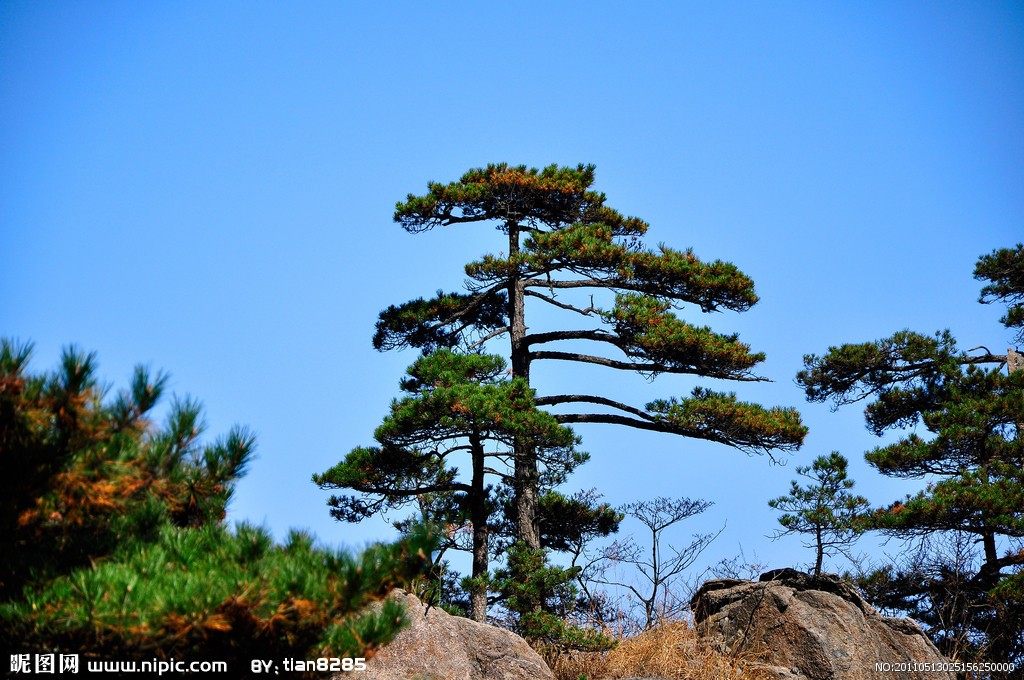 4933113_025156250000_2[1].jpg