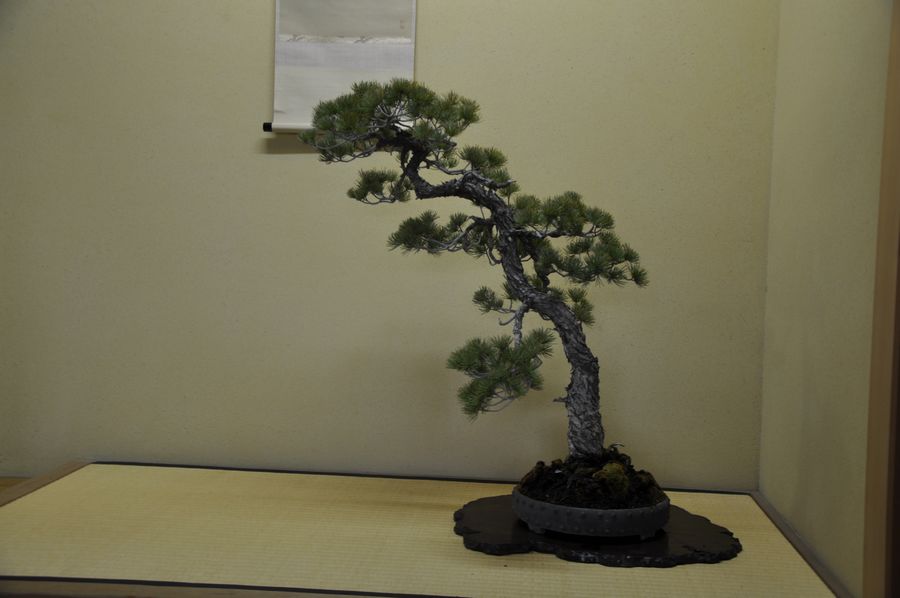 Ƭ 082.jpg