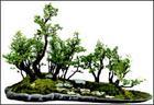 20110305014823322.jpg