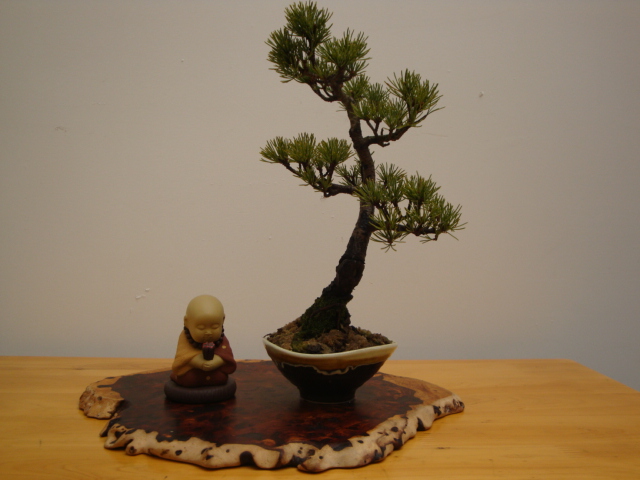 DSC08026.JPG