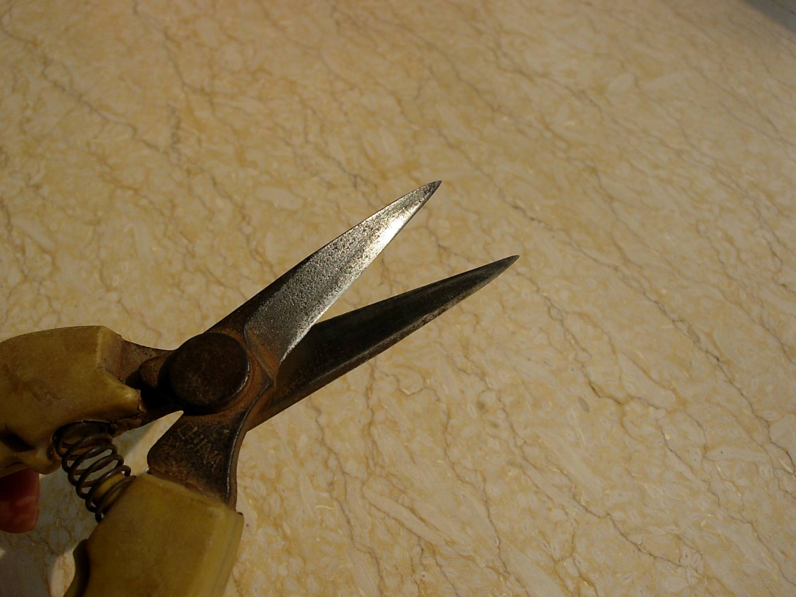 DSCN6548.JPG