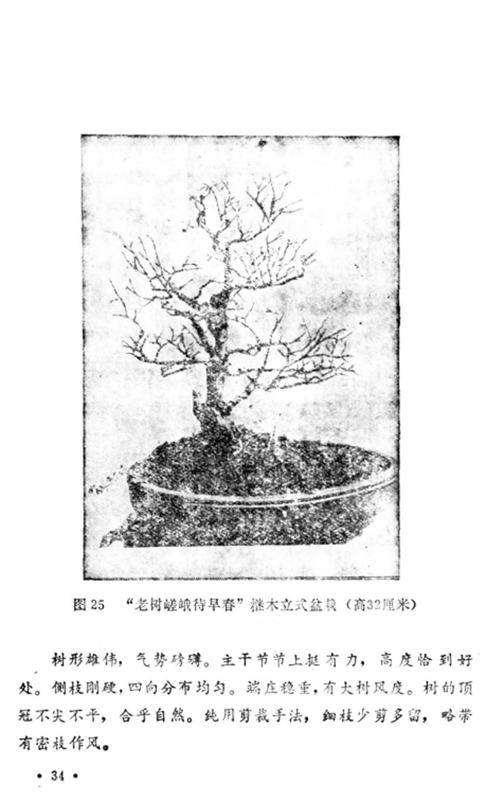 35̡Լա1982-.jpg