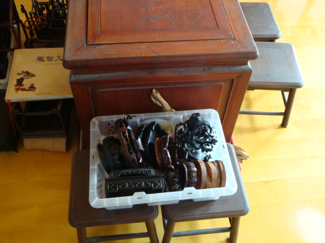 DSC08211.JPG