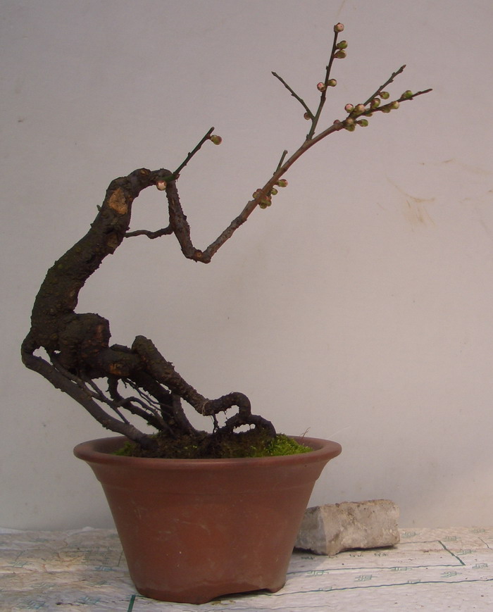 tgen÷12311.JPG