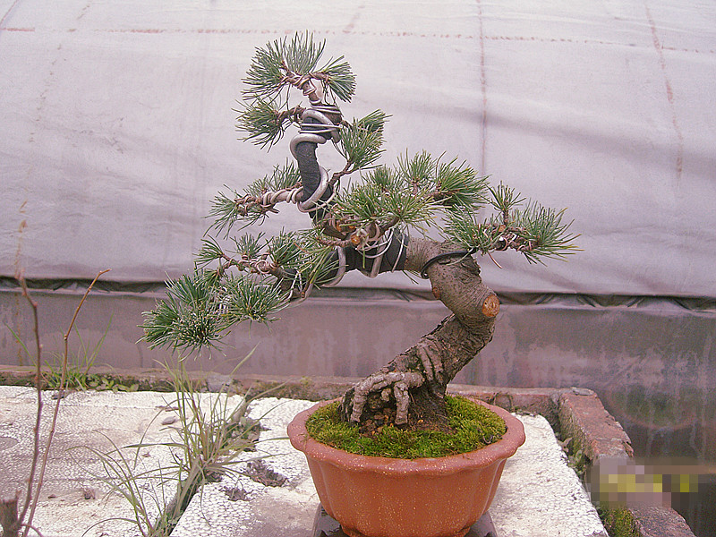 SNC10489_.jpg