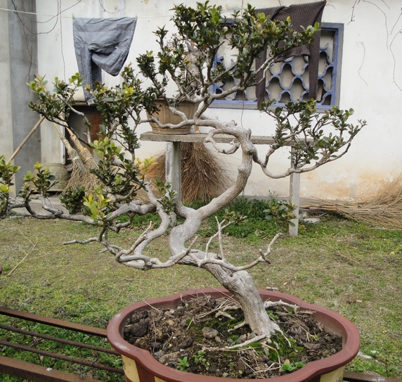 DSC08311.JPG