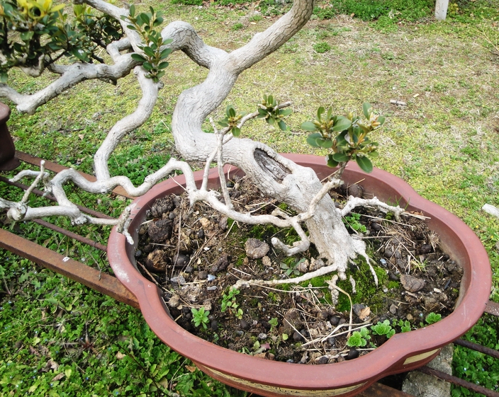 DSC08312.JPG