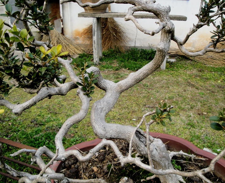 DSC08317.JPG