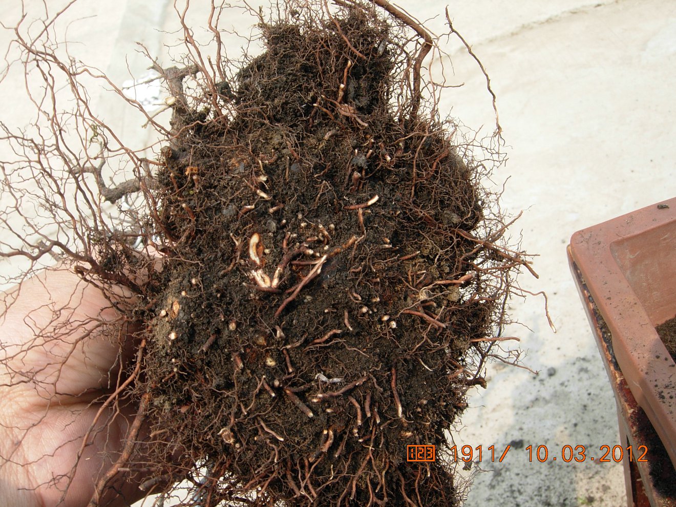 DSCN5462.JPG