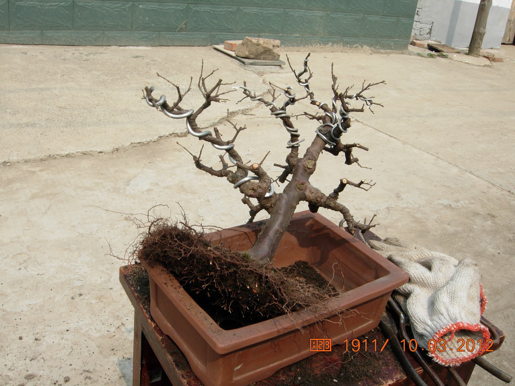 DSCN5463.JPG