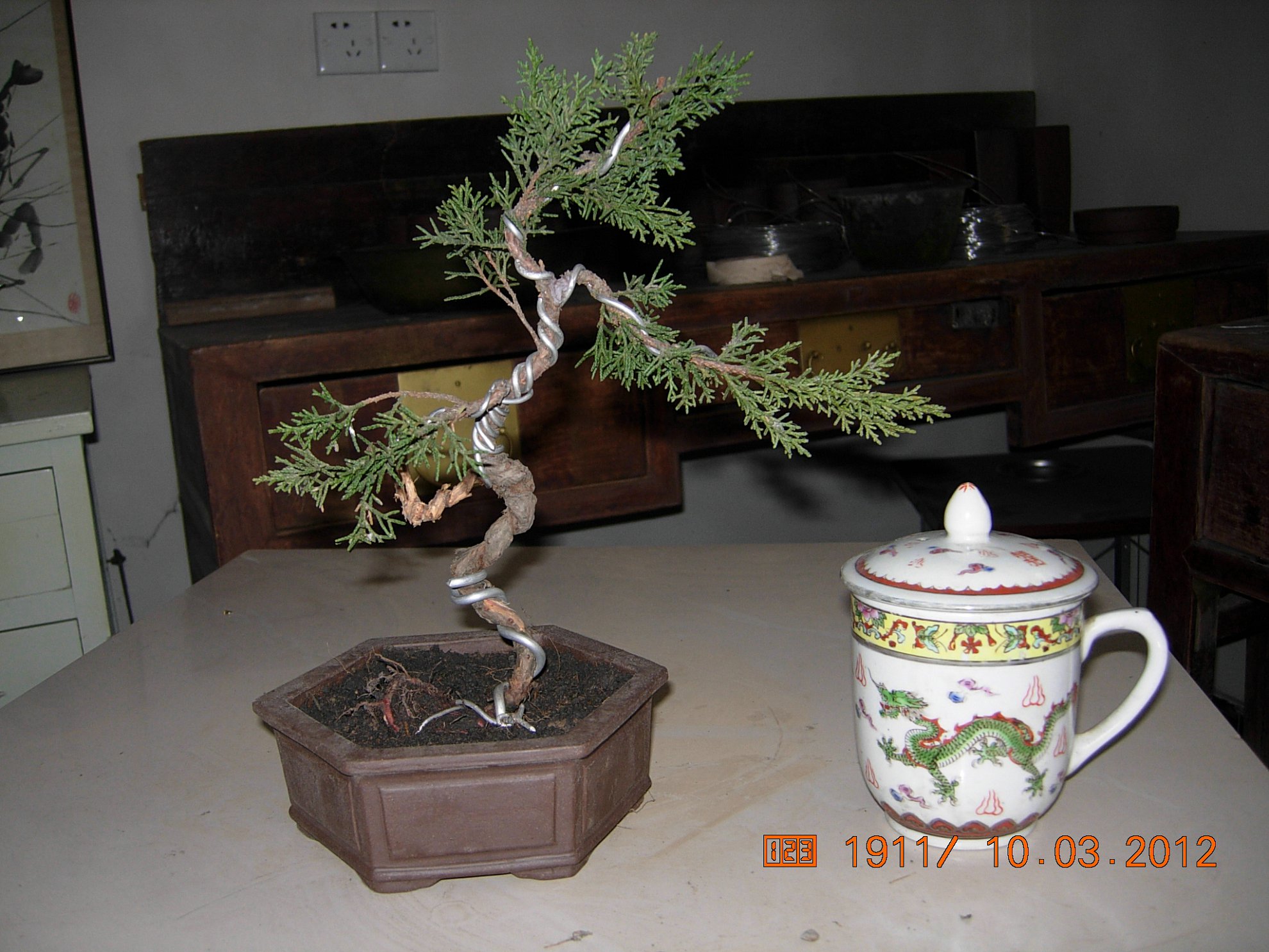 DSCN5465.JPG