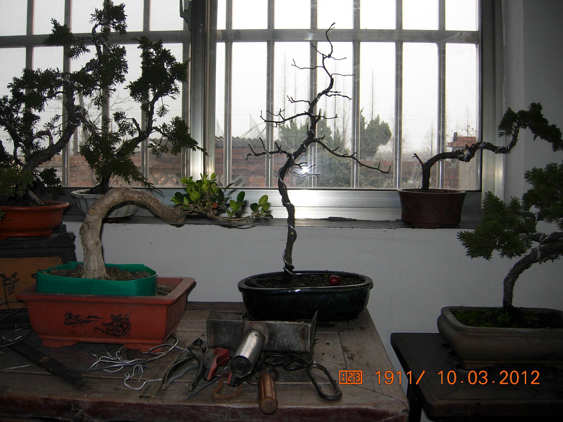 DSCN5466.JPG