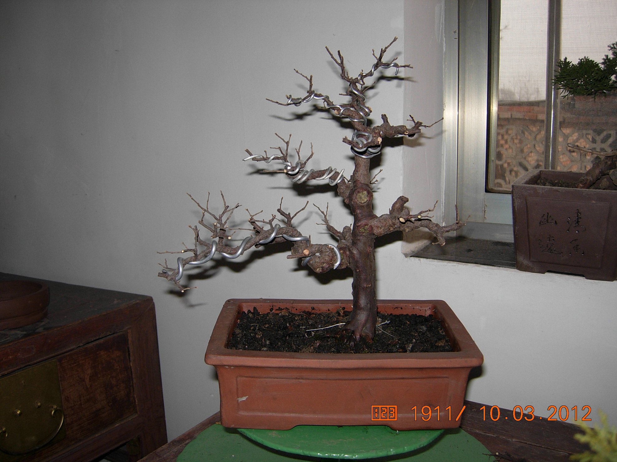 DSCN5468.JPG