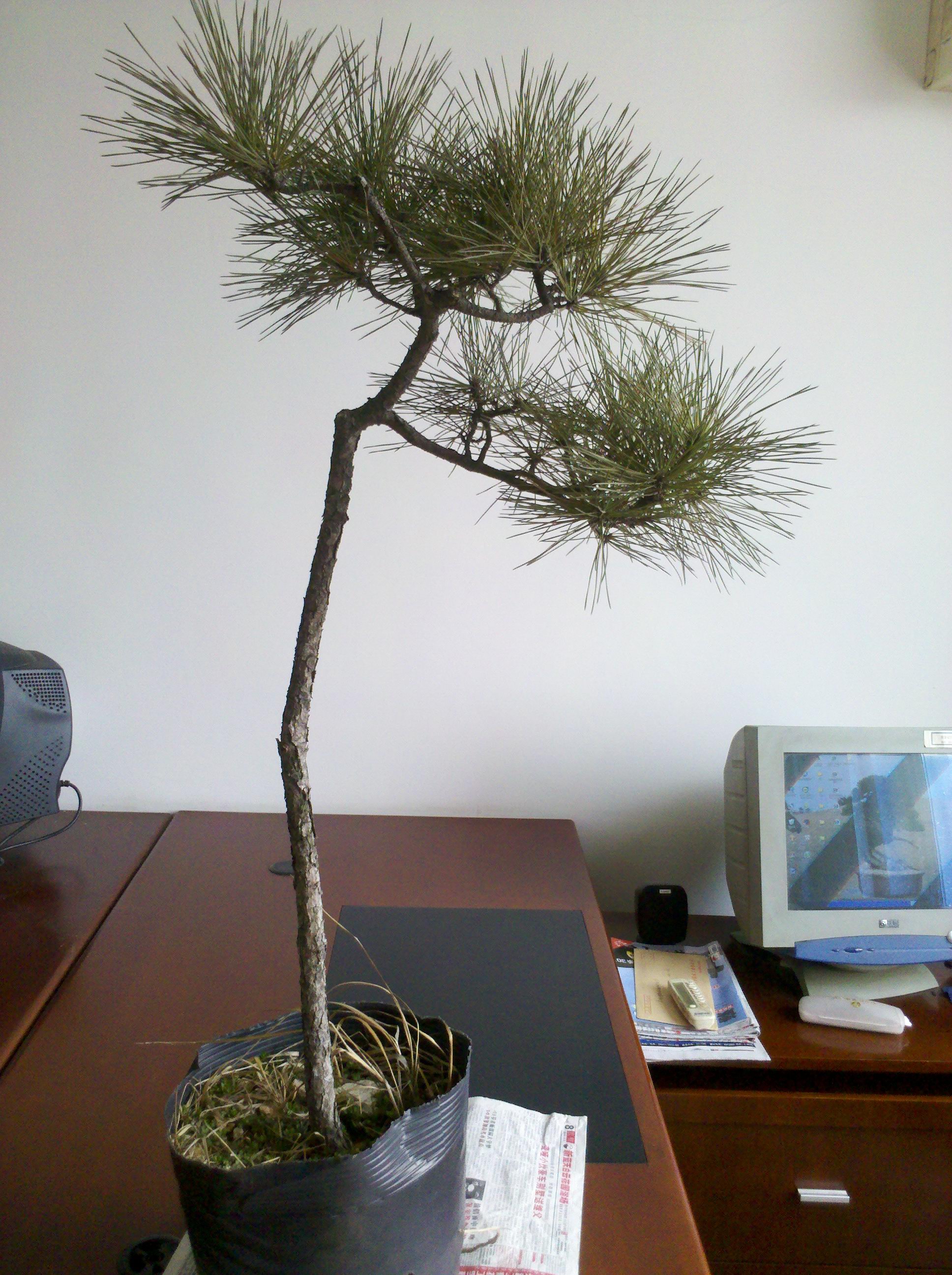 2012-03-10_10-55-38_151.jpg