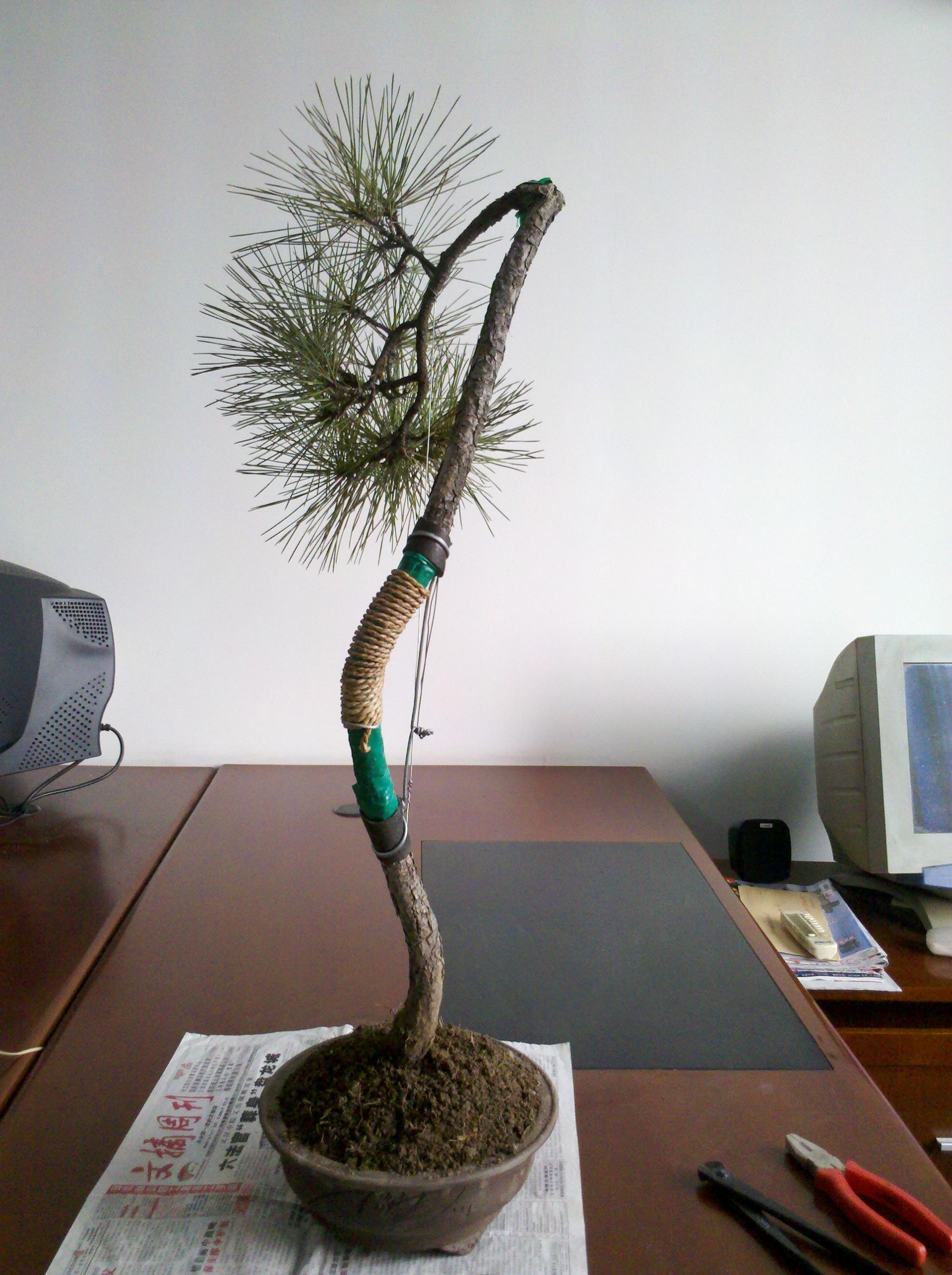 2012-03-10_14-40-16_134.jpg