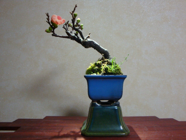 DSC08225.JPG