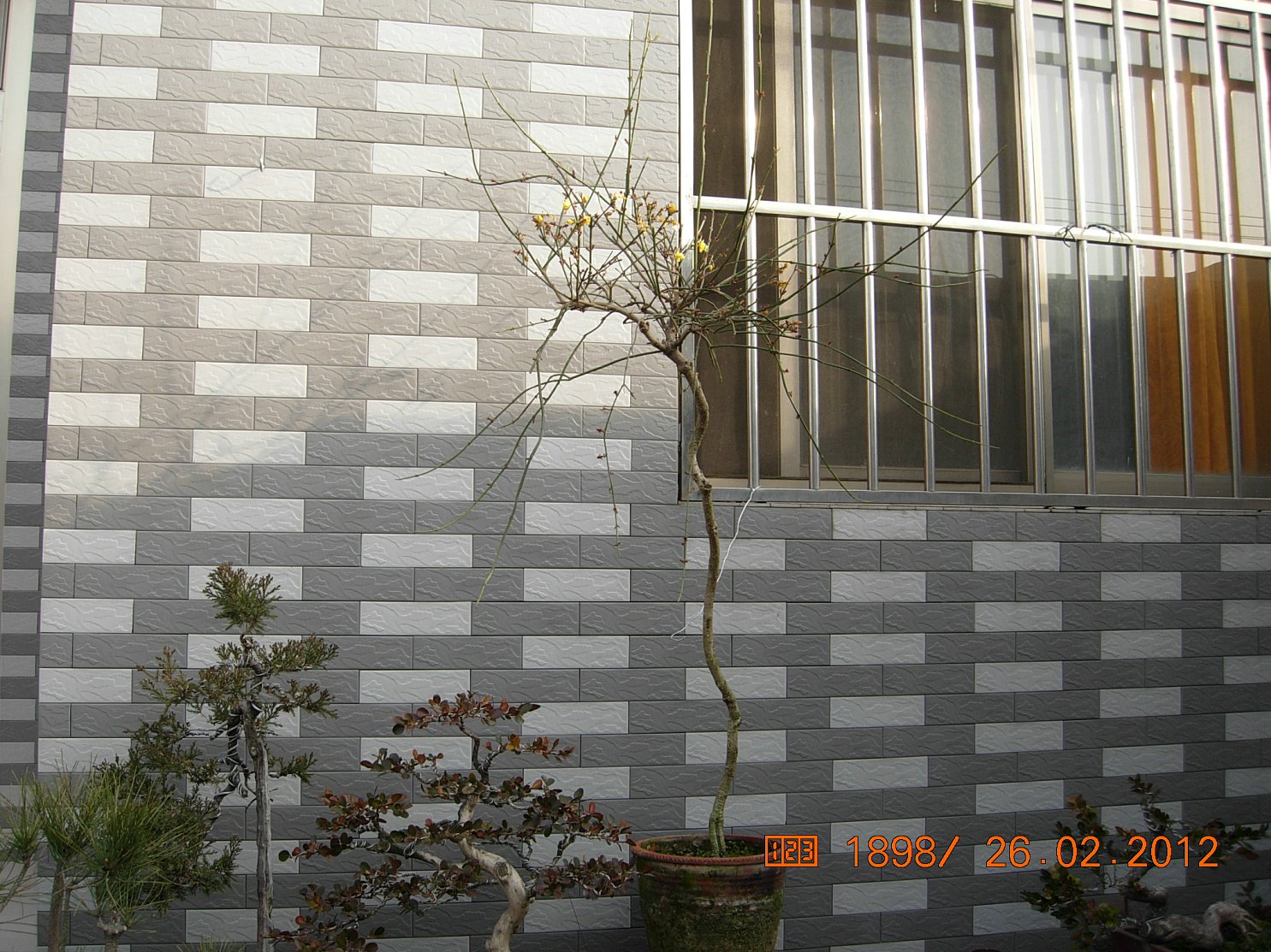 DSCN5449.JPG
