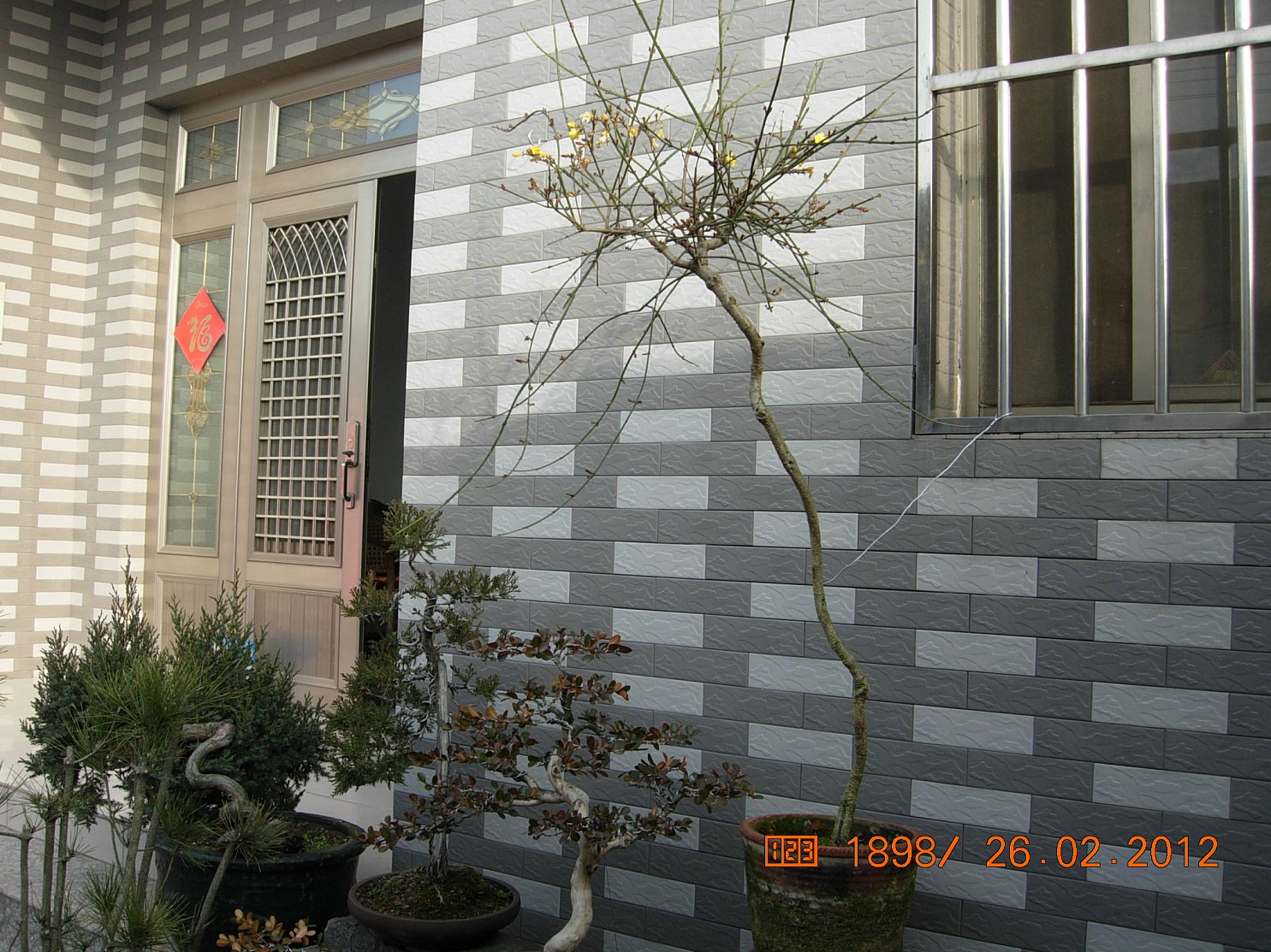 DSCN5450.JPG