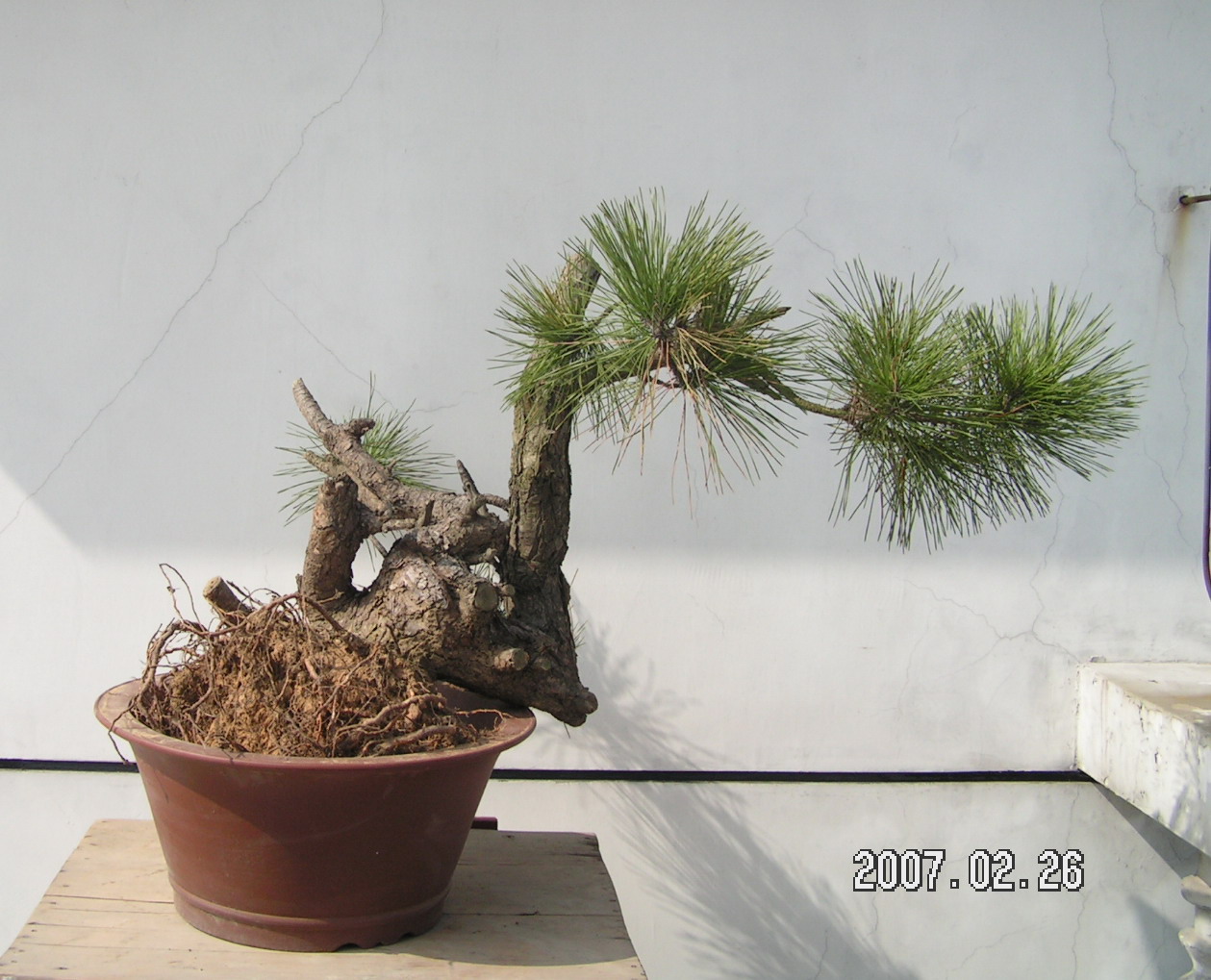 PICT0278.jpg