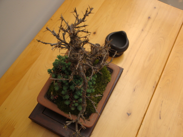 DSC08180.JPG