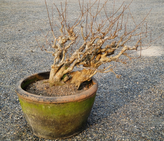 DSC08344.JPG