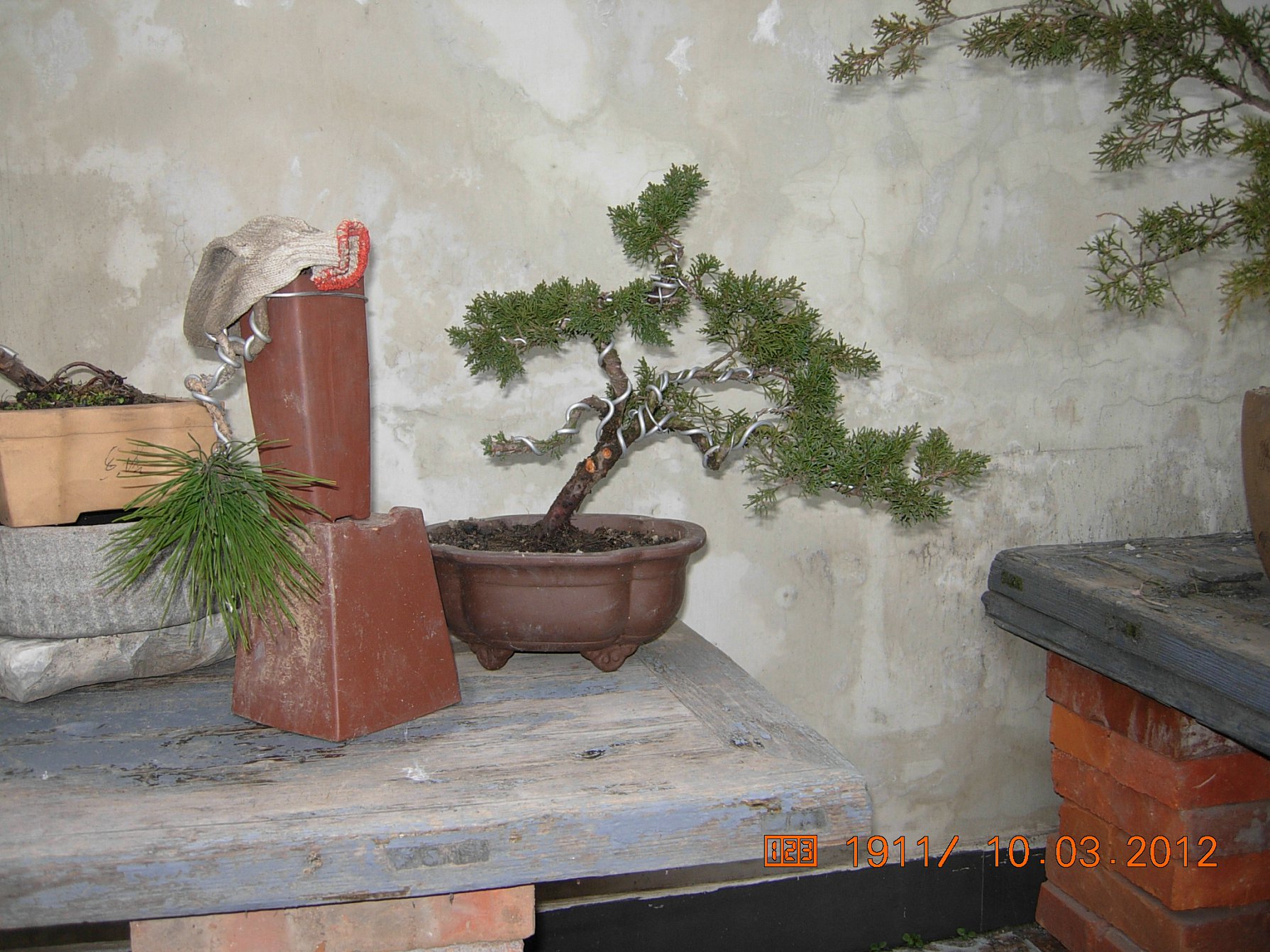 DSCN5472.JPG