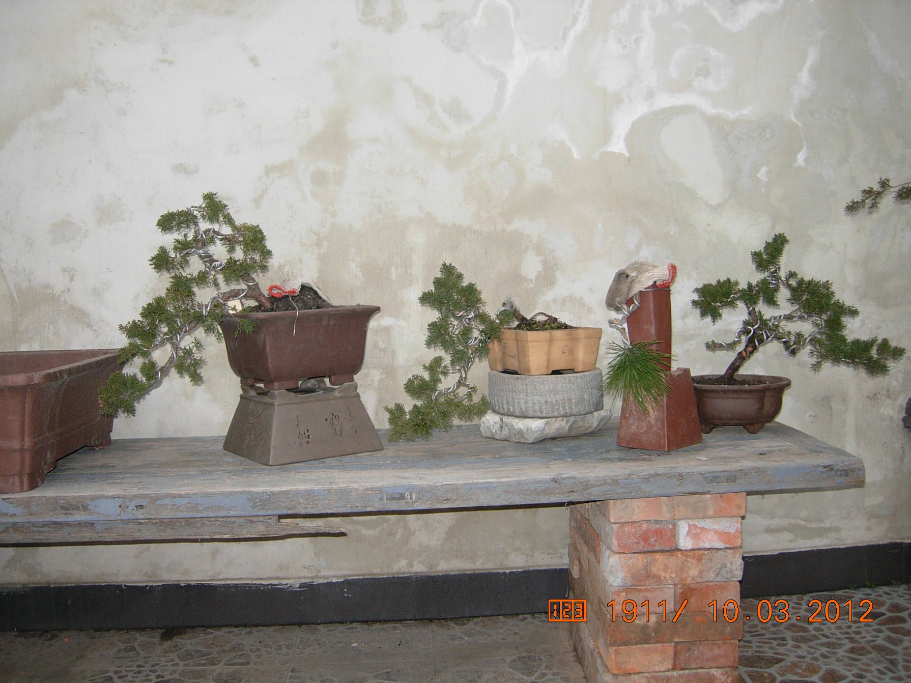 DSCN5473.JPG