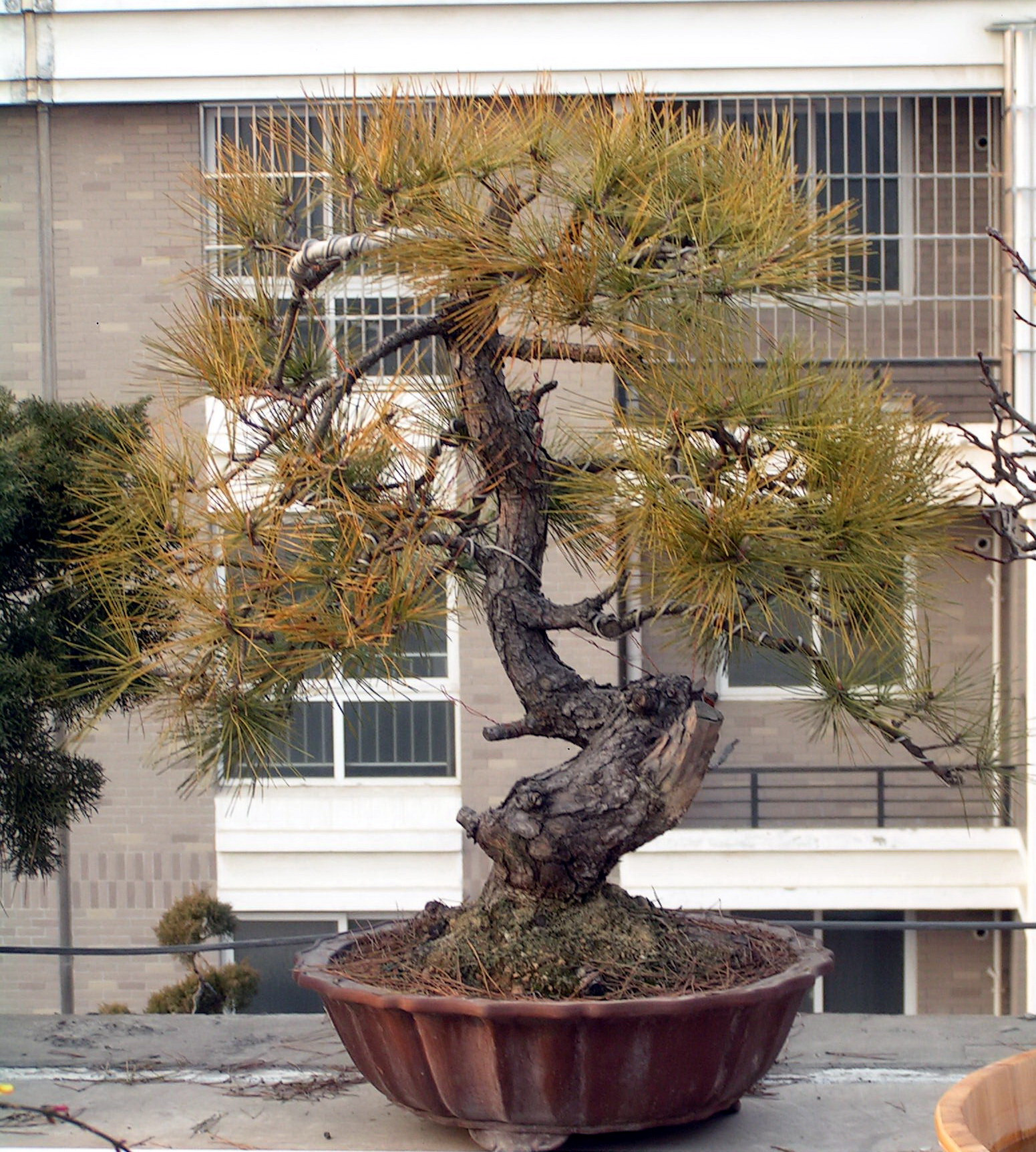 PICT0001.jpg