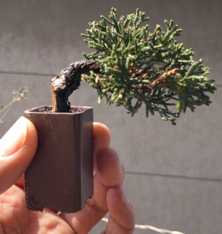 20120314629.jpg