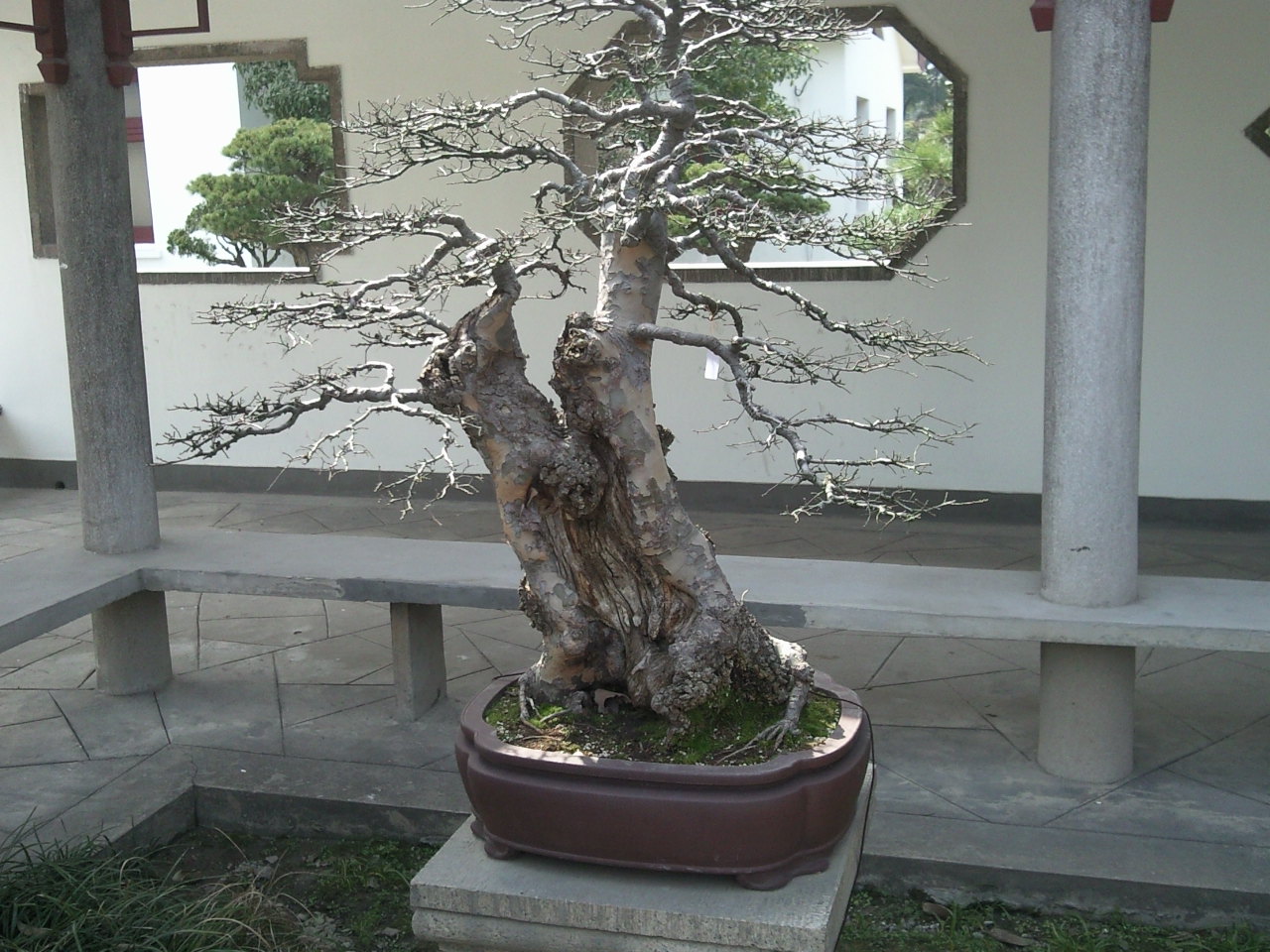 A-0015.jpg
