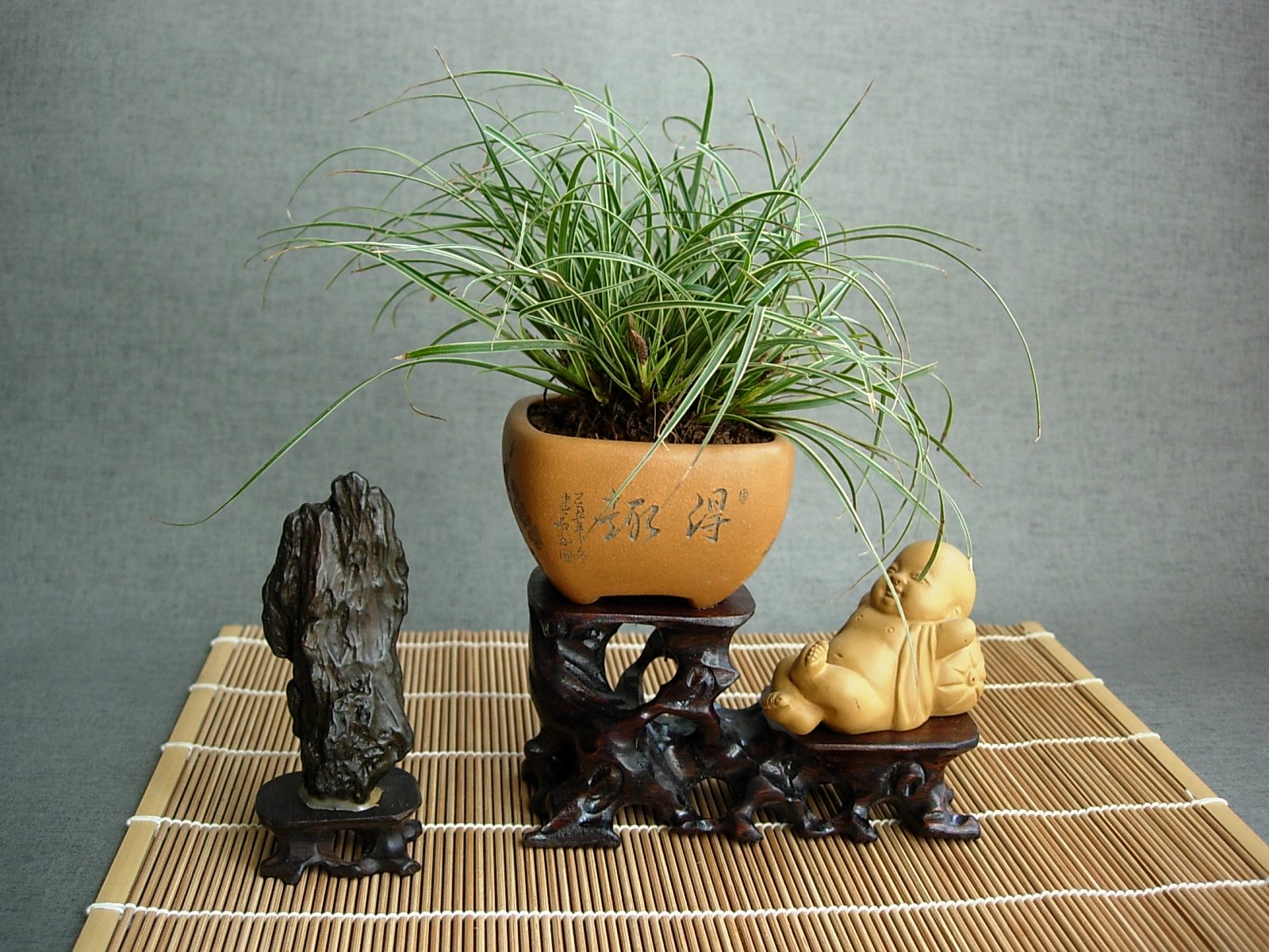 DSCN6578.JPG