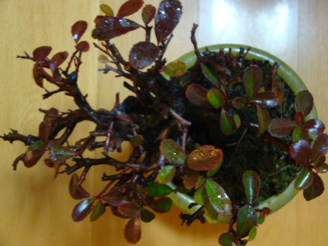 DSC07744.JPG