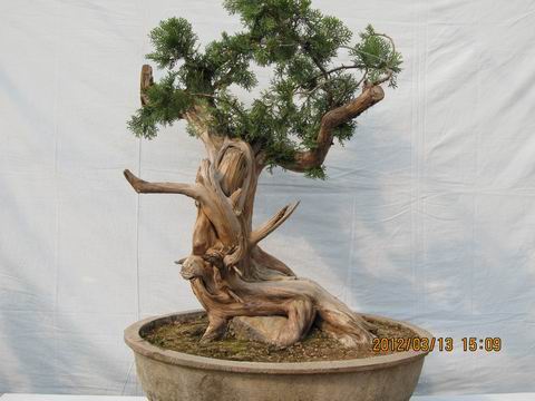 ������С IMG_0065.jpg