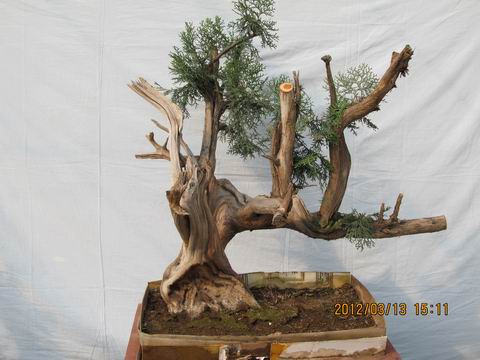 ������С IMG_0067.jpg