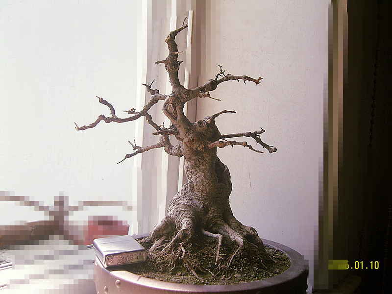 SNC10489_.jpg