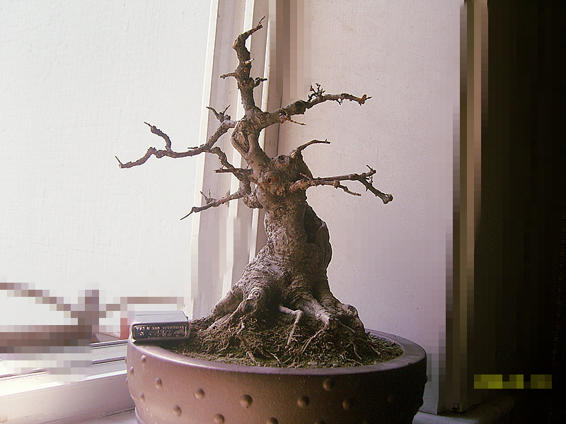 SNC10491_.jpg
