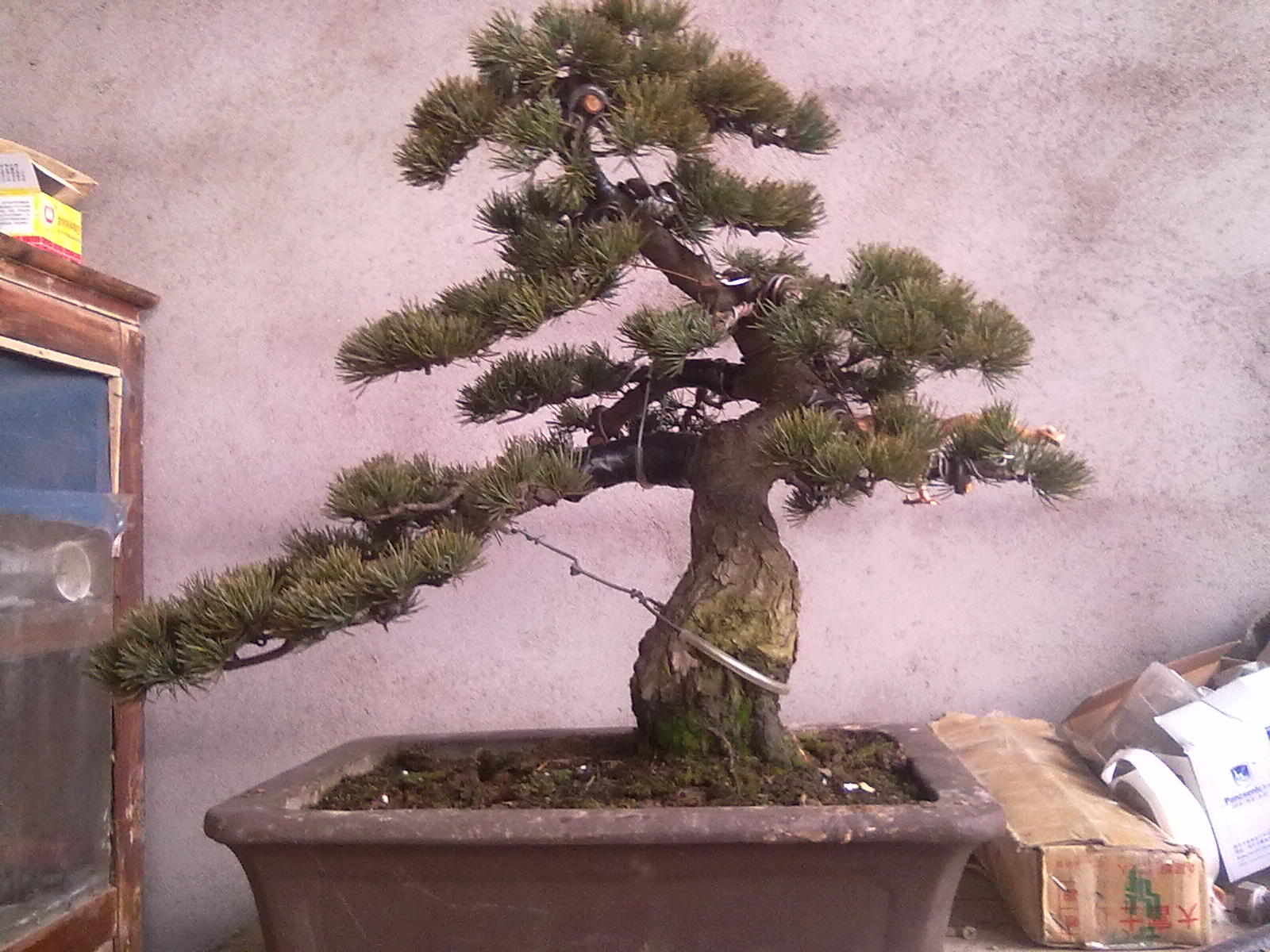 20120307389.jpg