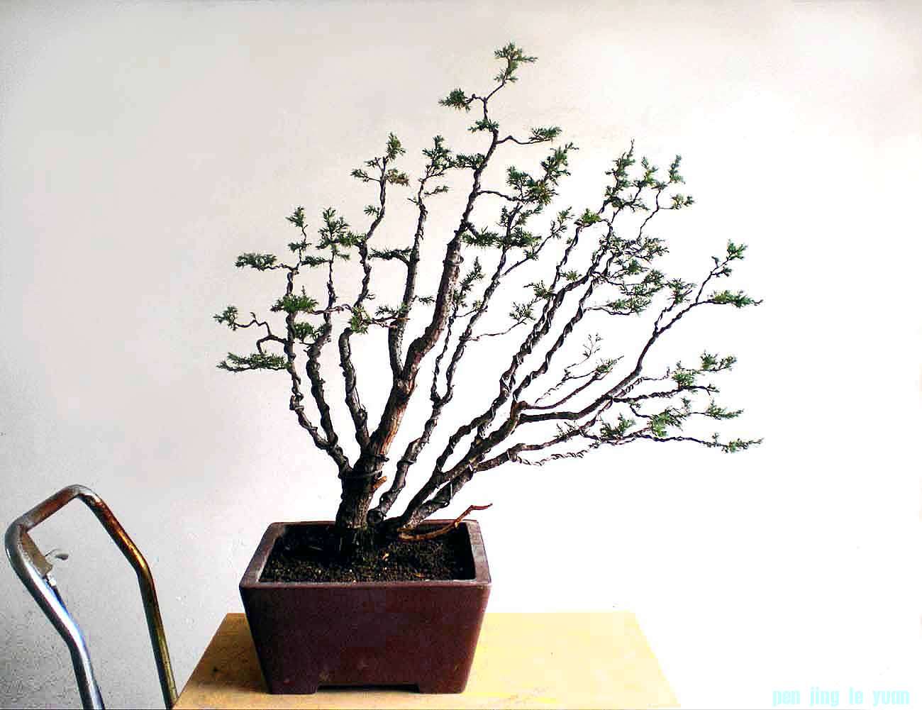 DSCN3928 .jpg