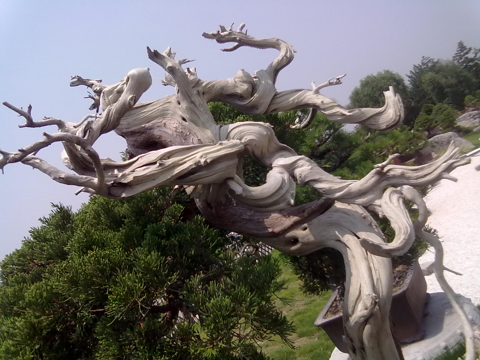 20110718102.jpg