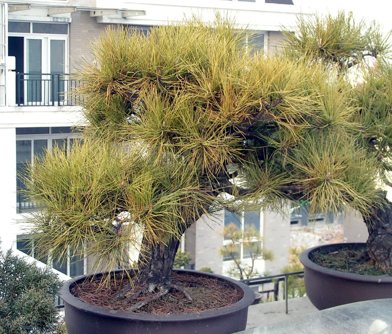 PICT0005.jpg