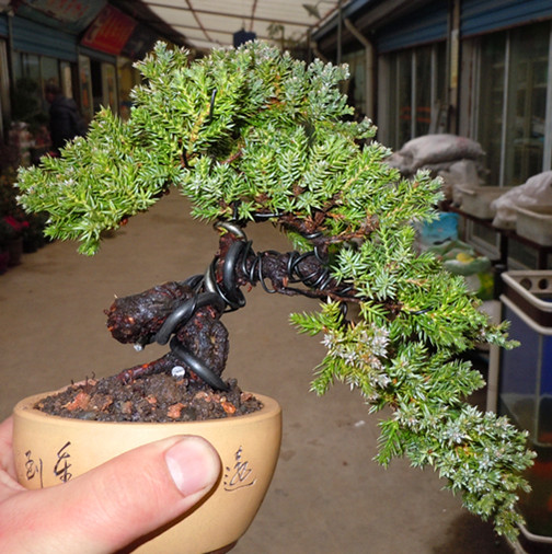 DSCN188_.jpg