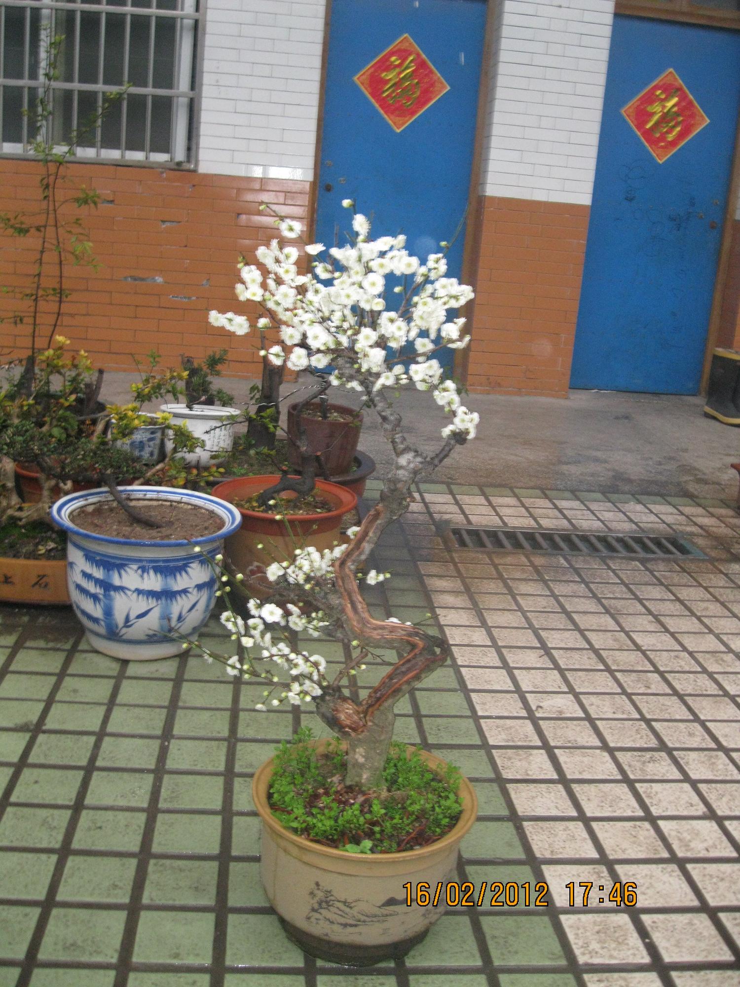 IMG_0099.jpg